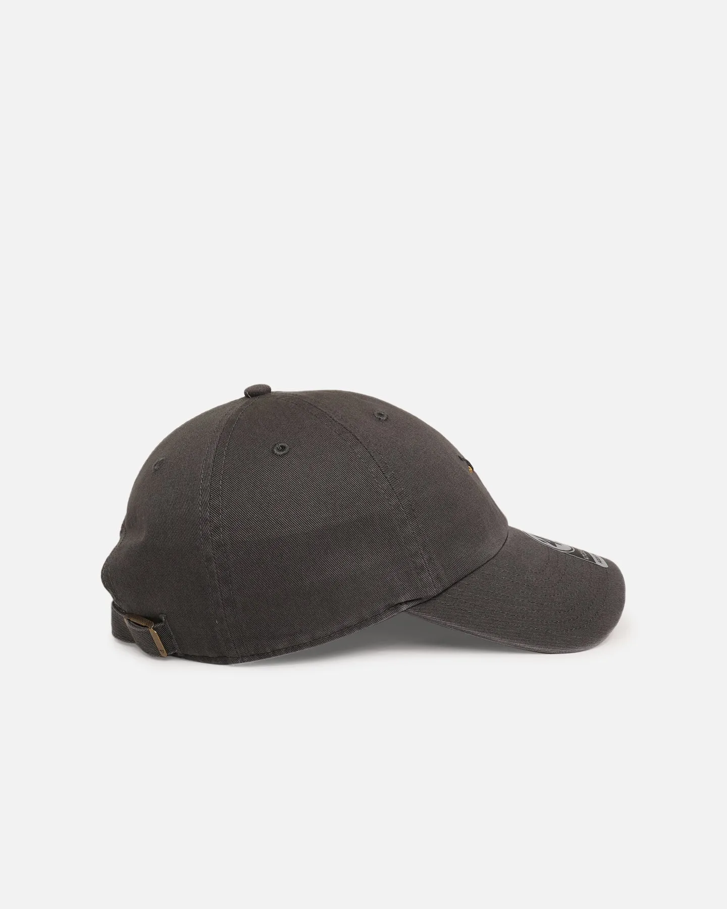 47 Brand Dachshund 'Dog Collection' 47 Clean Up Strapback Charcoal
