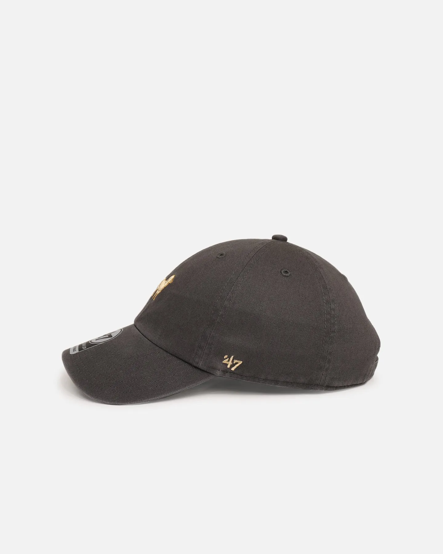 47 Brand Golden Retriever 'Dog Collection' 47 Clean Up Strapback Charcoal
