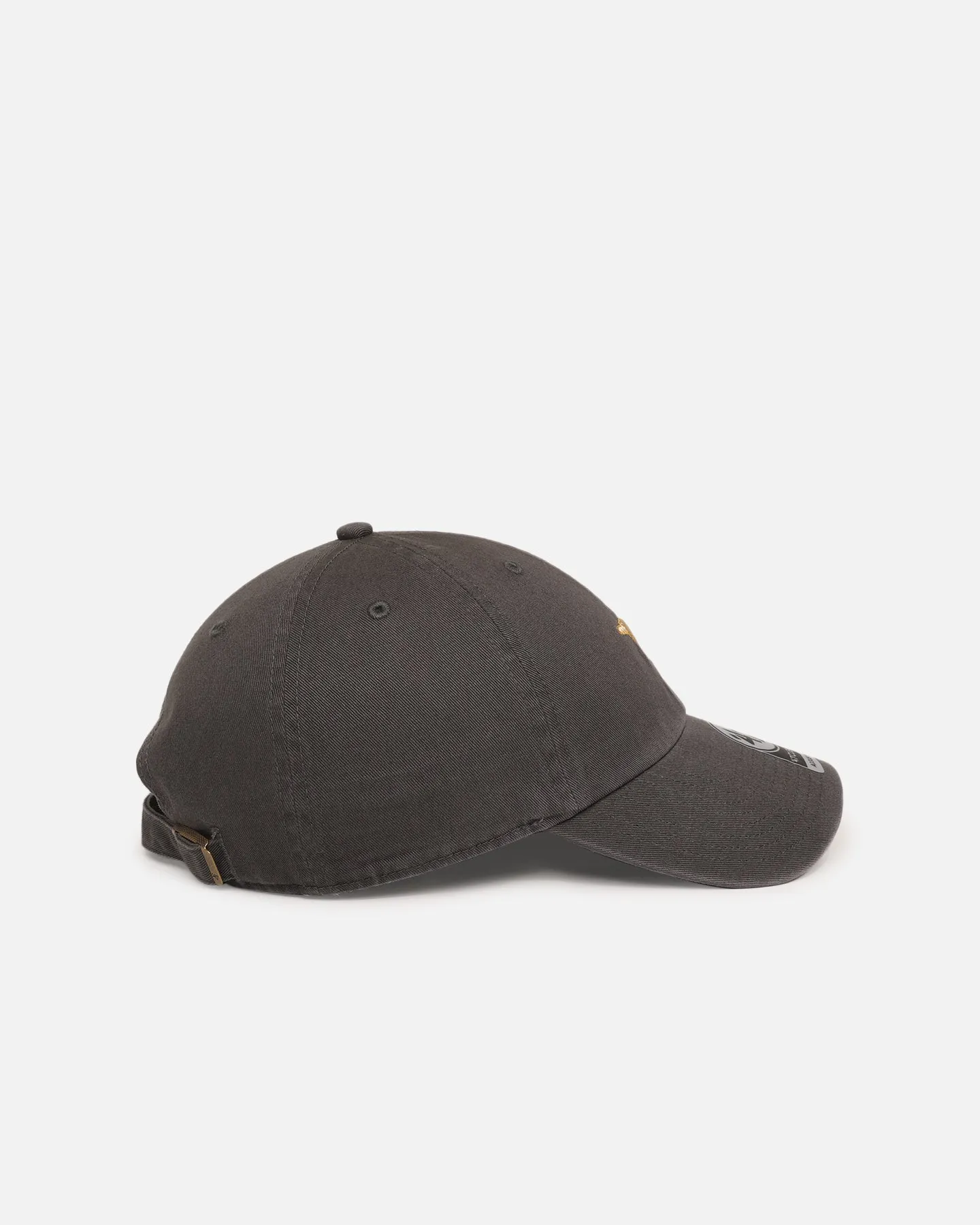 47 Brand Golden Retriever 'Dog Collection' 47 Clean Up Strapback Charcoal