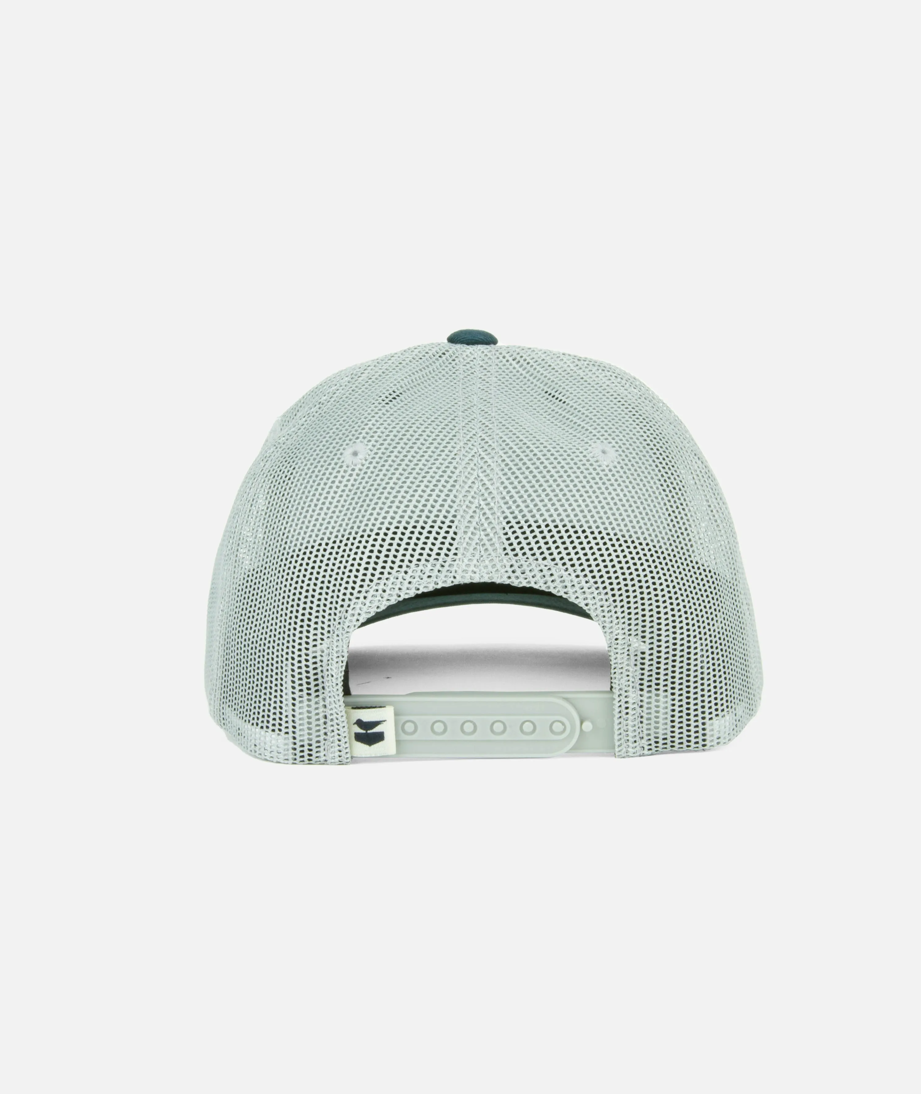 Carbon Trucker - Tidal