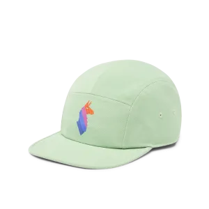 Llama Stripes 5-Panel Hat