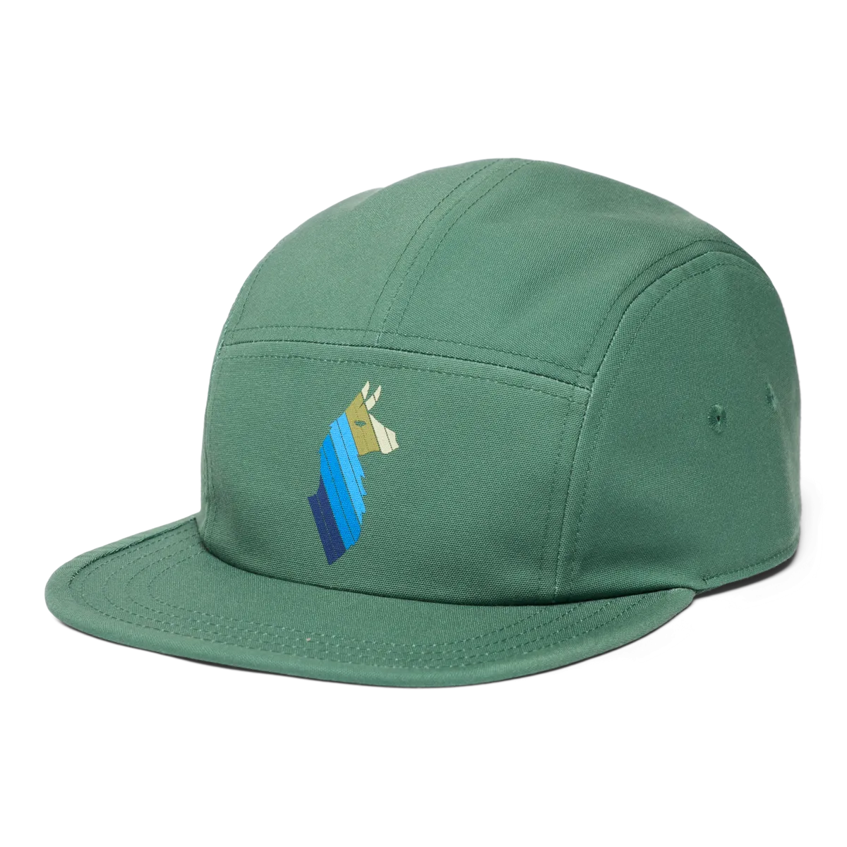 Llama Stripes 5-Panel Hat